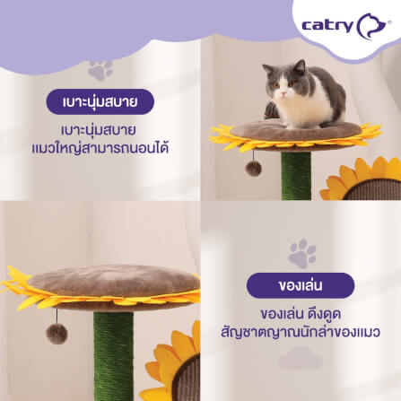 คอนโดแมว Catry รุ่น Sunflower พร้อมเสาลับเล็บ 2 เสาและที่นอนกำมะหยี่_3
